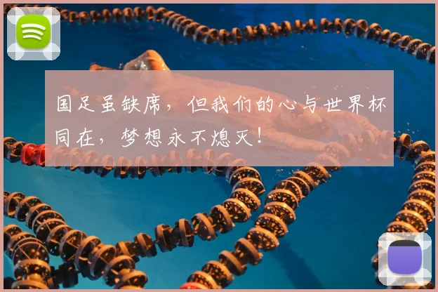 国足虽缺席，但我们的心与世界杯同在，梦想永不熄灭！
