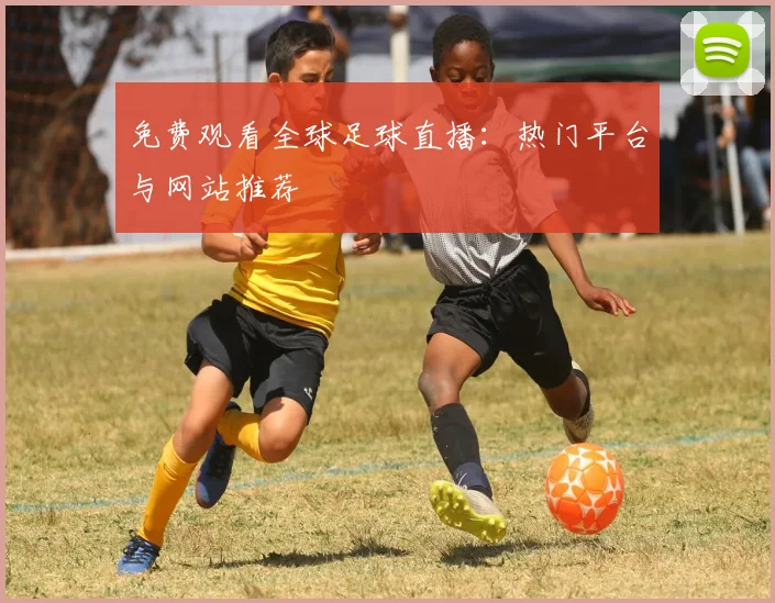 免费观看全球足球直播：热门平台与网站推荐