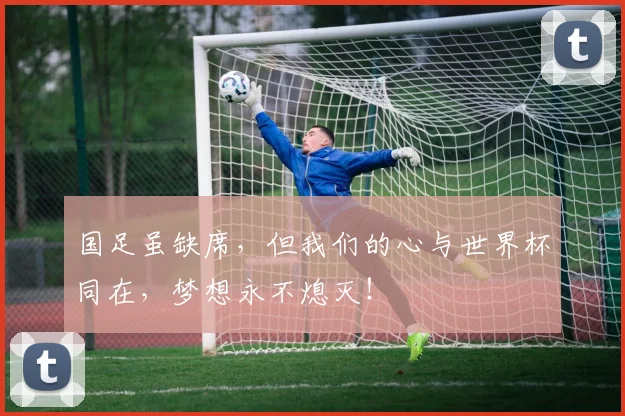 国足虽缺席，但我们的心与世界杯同在，梦想永不熄灭！